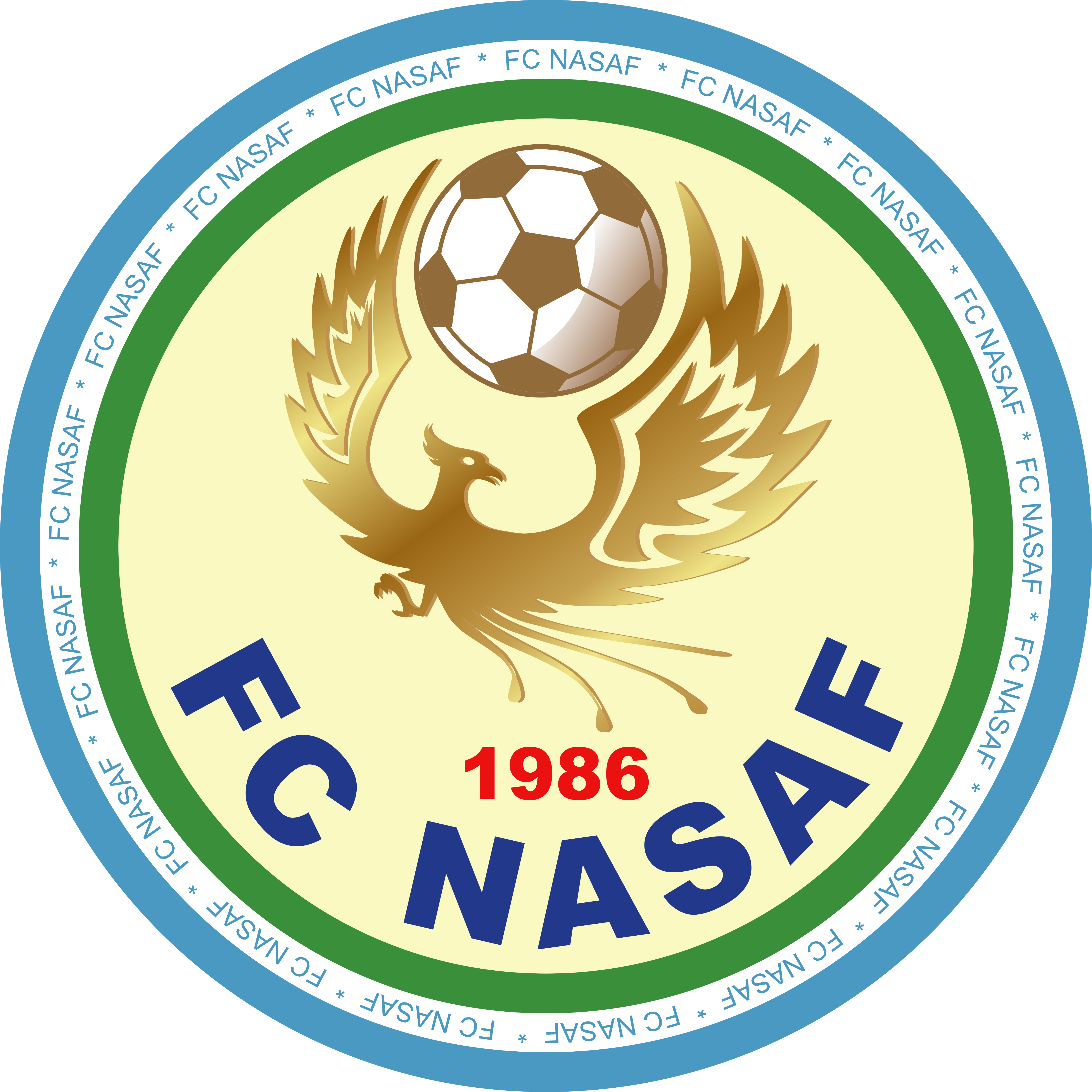 亚洲足球赛场上球队的耀眼表现 亚洲足球赛场上球队的耀眼表现